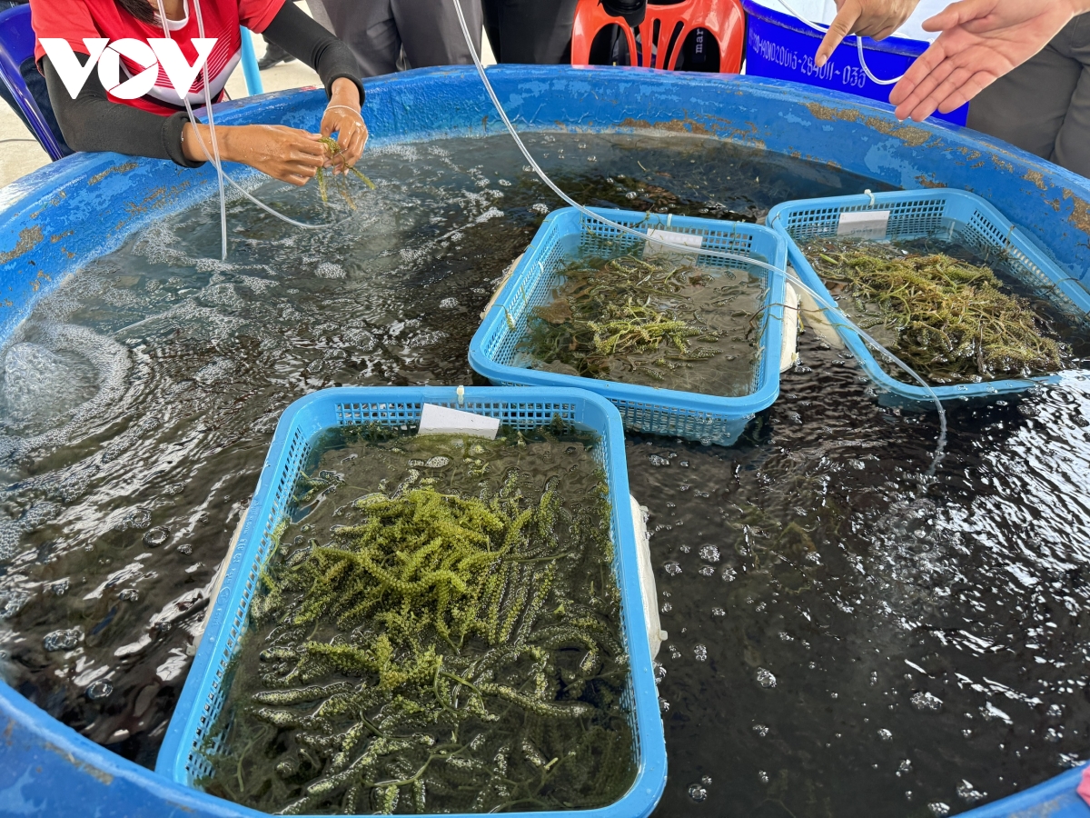 phetchaburi thai lan loi giai cho bai toan kinh te di san hinh anh 5