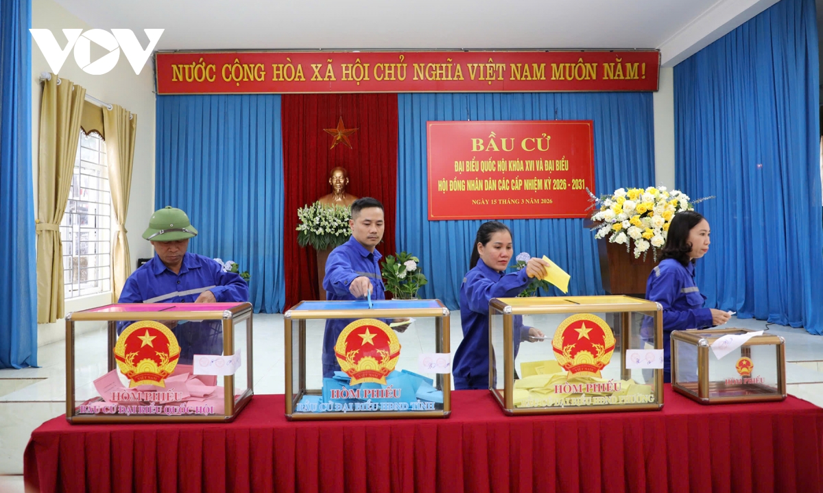 tuong thuat truc tiep ngay hoi toan dan 15 3 2026 hinh anh 290