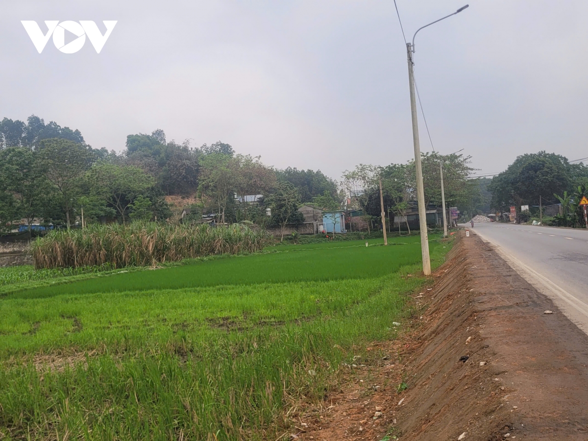  lua thuc dem duoi anh den cao ap o thai nguyen lieu co gay that thu hinh anh 3