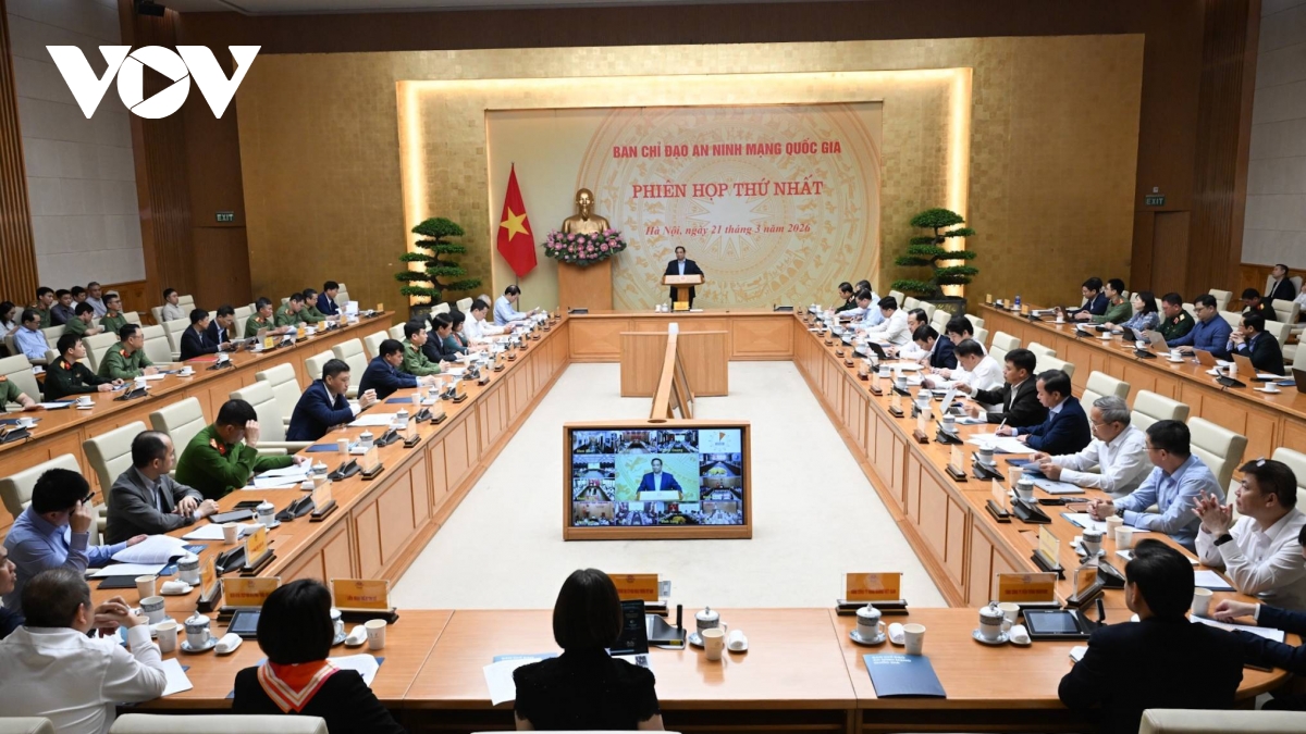 thu tuong pham minh chinh ngan chan, vo hieu hoa toi pham mang hinh anh 1