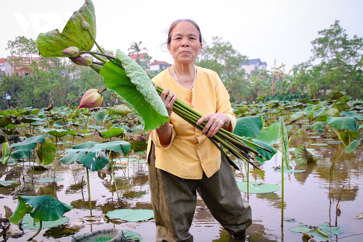 to sen nang tam san pham lang nghe det lua phung xa hinh anh 7