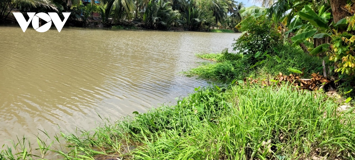 trai chan nuoi vit gay o nhiem, dao lon cuoc song cua khu dan cu tai Dong thap hinh anh 5