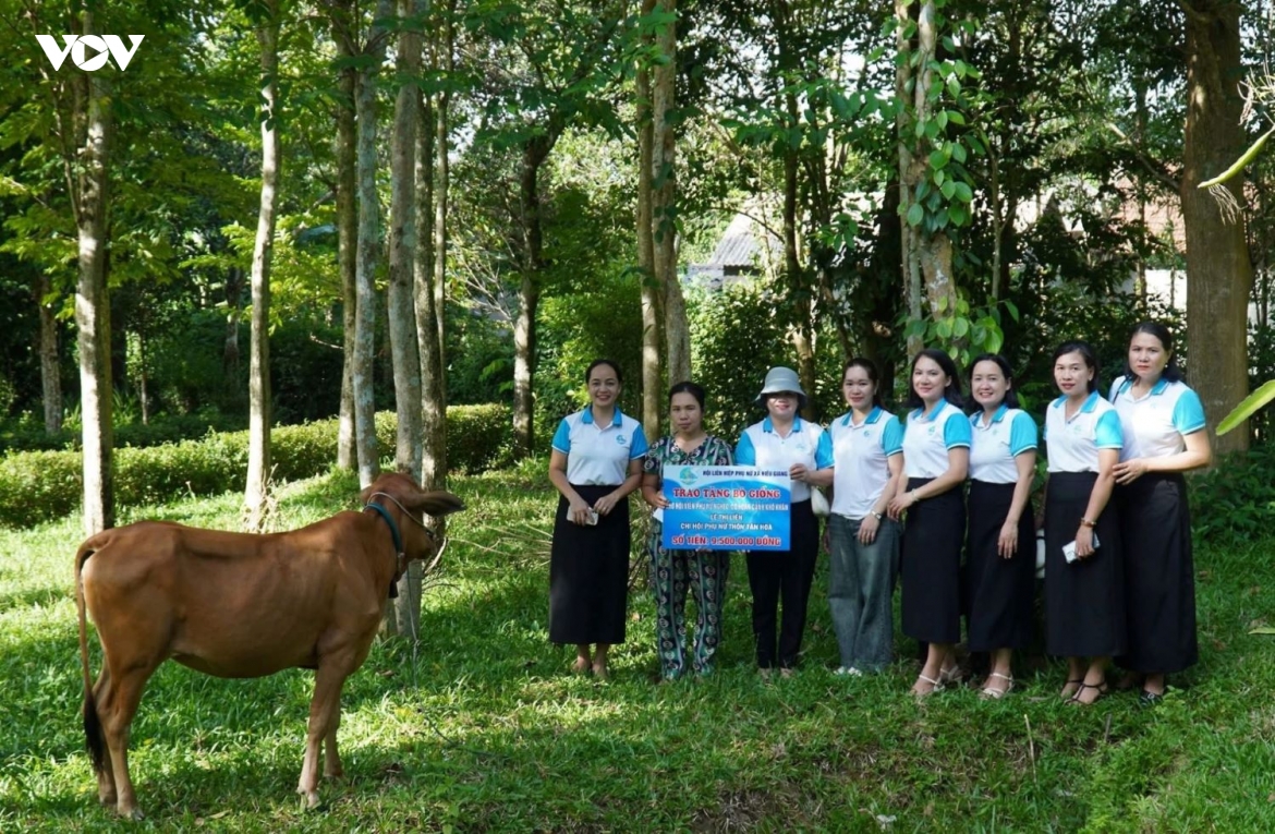  ngoi nha xanh cua phu nu quang tri bao ve moi truong, gay quy ho tro nguoi ngheo hinh anh 6