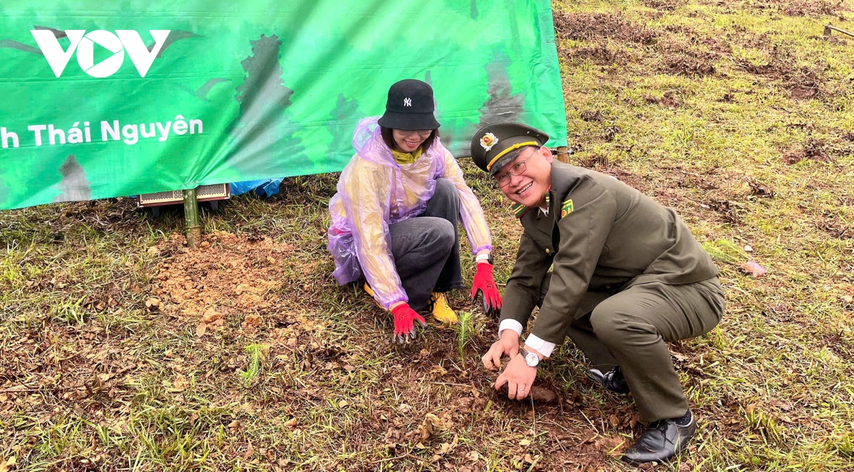 ho tro trong rung cho vung dong bao dan toc thieu so vung cao thai nguyen hinh anh 3
