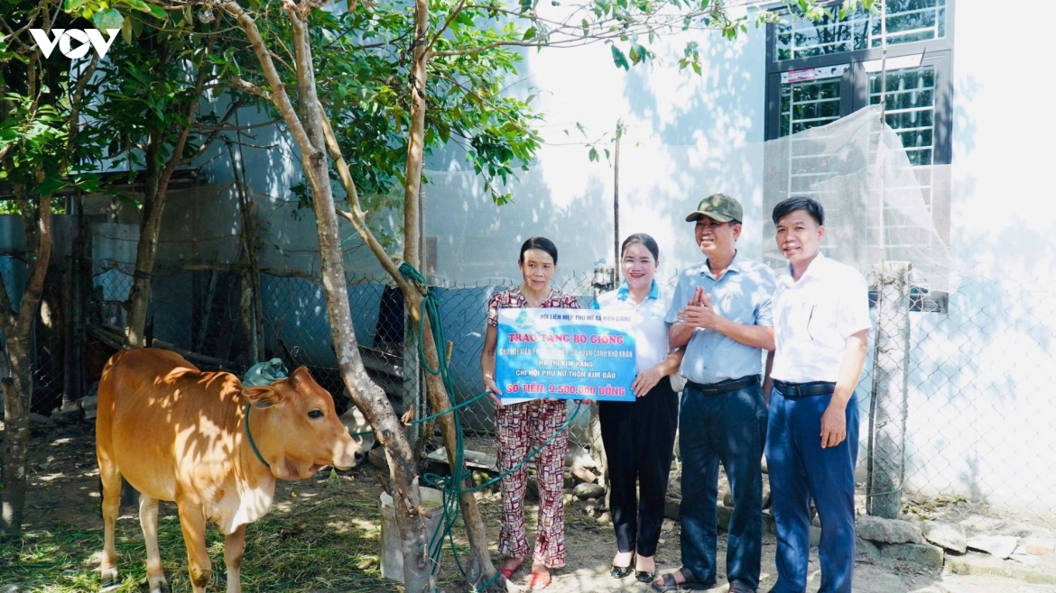  ngoi nha xanh cua phu nu quang tri bao ve moi truong, gay quy ho tro nguoi ngheo hinh anh 5