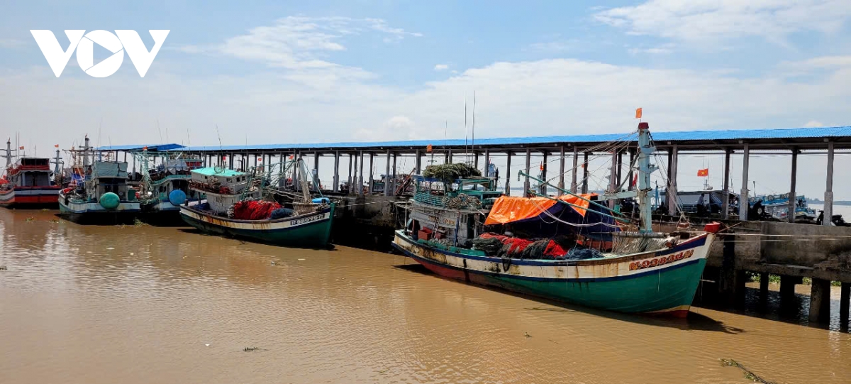 Ngư dân Vĩnh Long nỗ lực thực hiện tốt quy định IUU