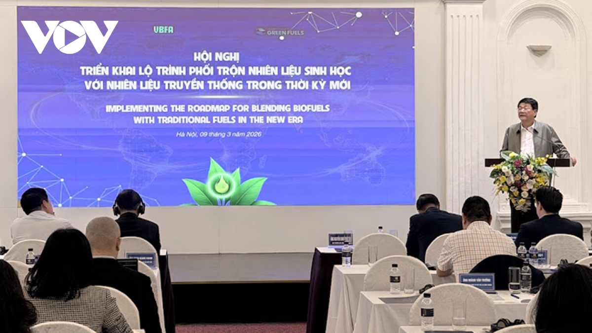 cang thang nguon cung xang dau, de xuat som dua xang sinh hoc ra thi truong hinh anh 1