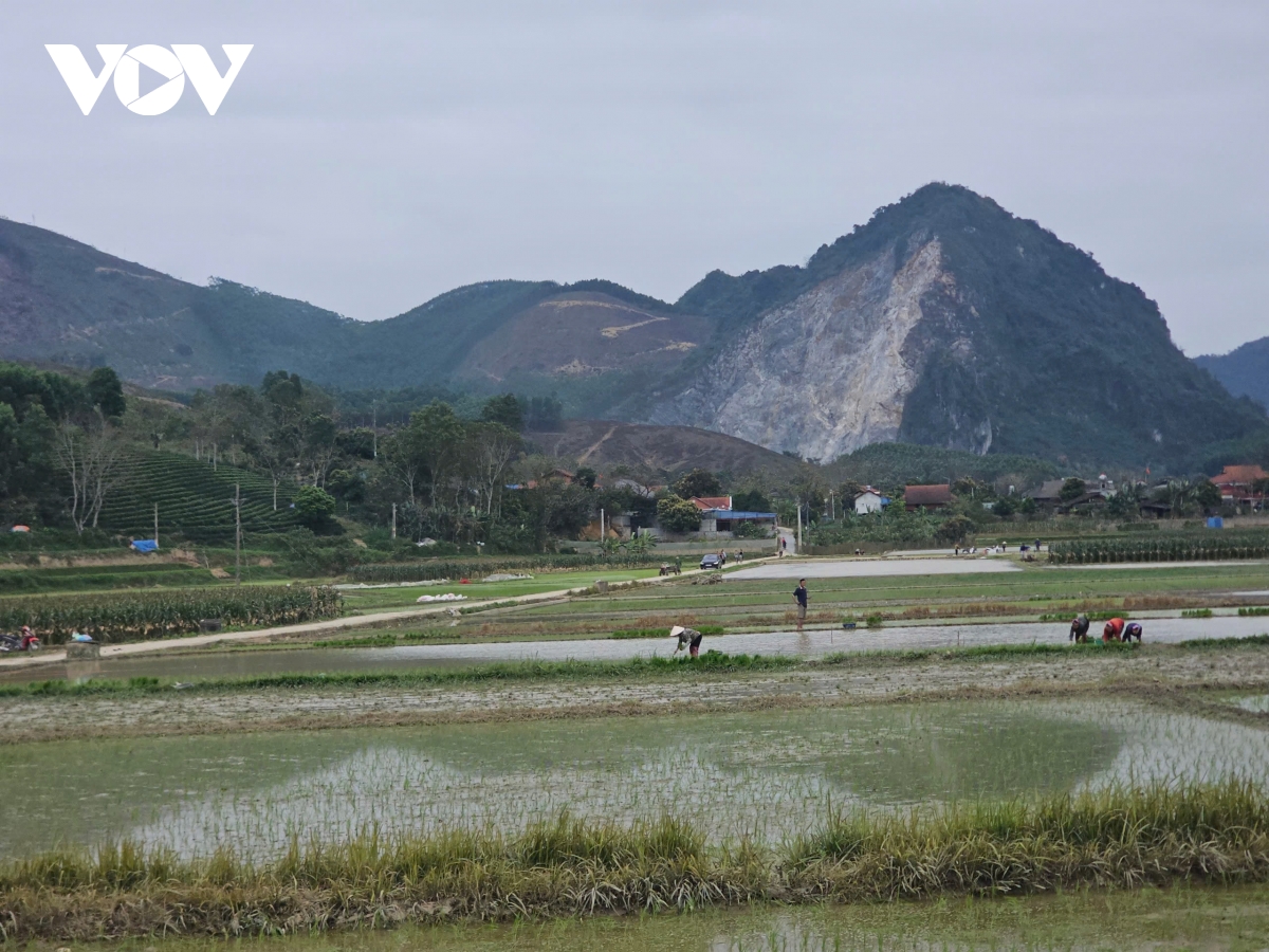 nguoi uy tin truyen lua bau cu o vung cao van lang, thai nguyen hinh anh 1