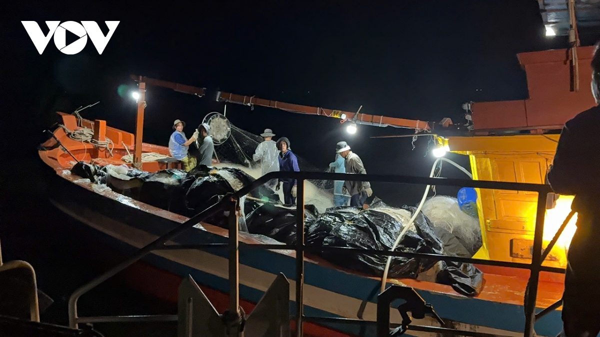 xu ly 02 tau ca khai thac thuy san sai vung quy dinh hinh anh 1