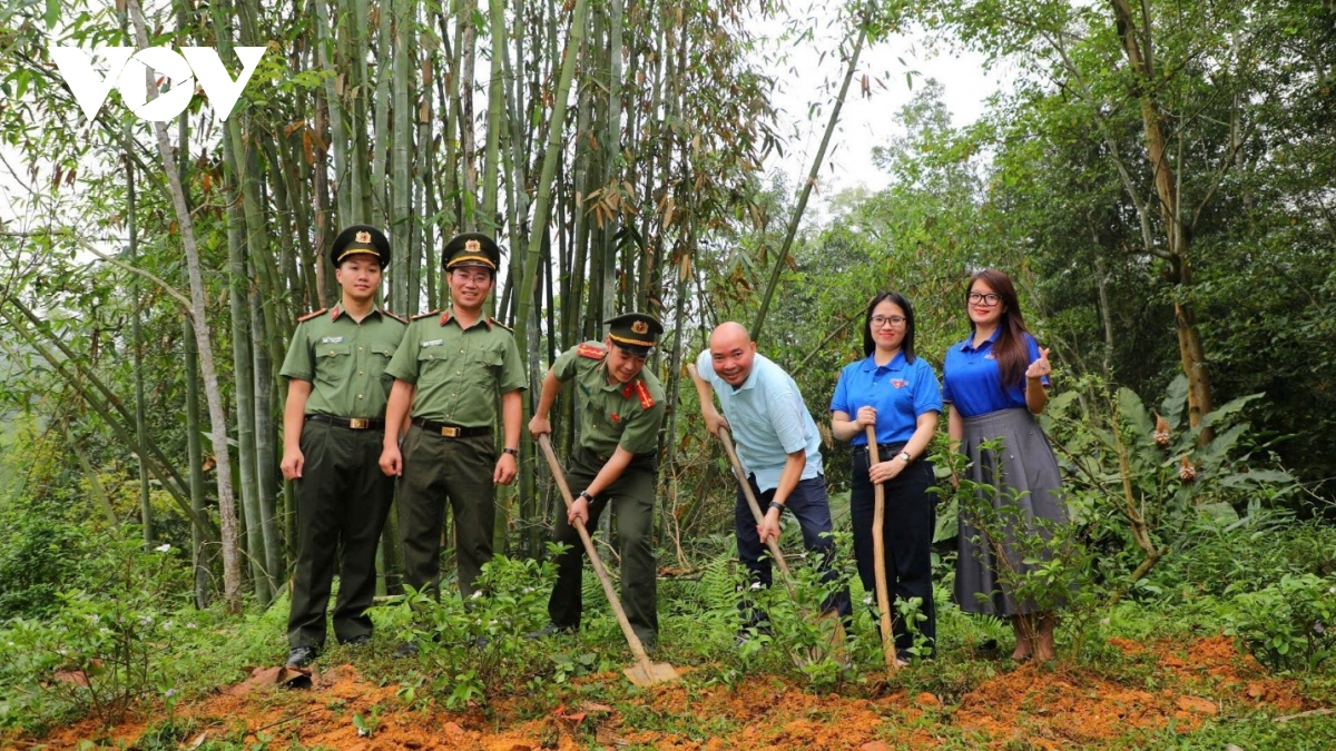 tuoi tre cac co quan trung uong mang xuan yeu thuong ve nghia ta hinh anh 10