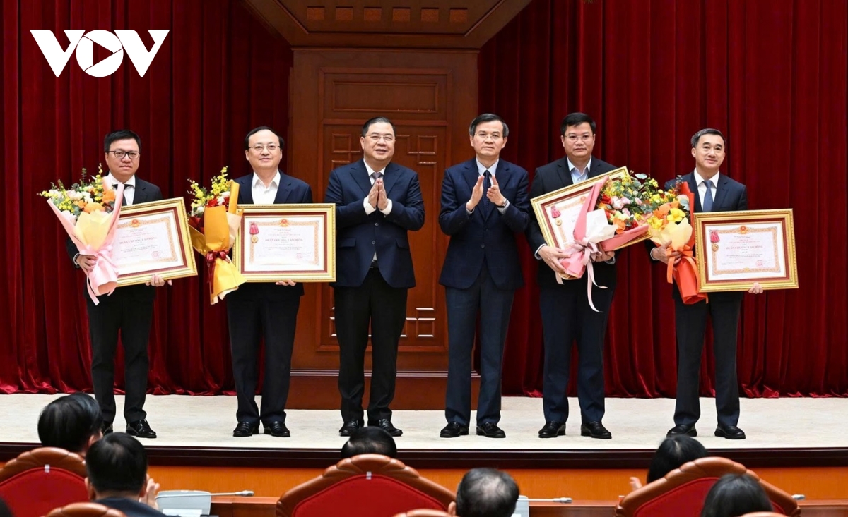 tong ket cong tac to chuc, phuc vu Dai hoi xiv cua Dang hinh anh 3