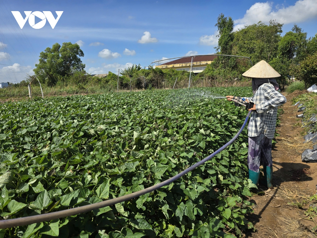 tim giai phap dam bao an ninh nguon nuoc cho Dbscl truoc bien doi khi hau hinh anh 5