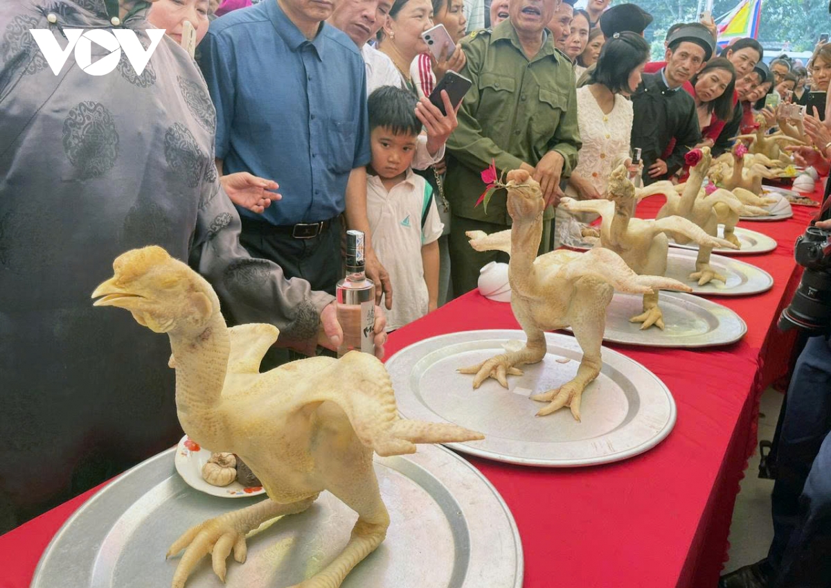 Dac sac le xoi - ga nhap dinh cho nguoi buoc vao tuoi 50 o bac ninh hinh anh 3