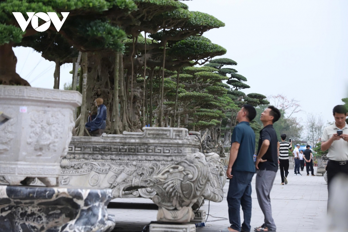 du khach me man ngam tranh, thuong cay, san do co giua hoi khai an Den tran hinh anh 8