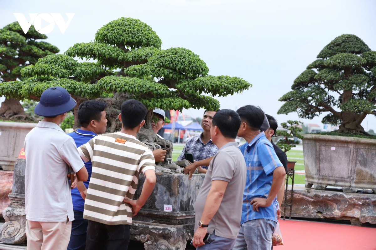 du khach me man ngam tranh, thuong cay, san do co giua hoi khai an Den tran hinh anh 4