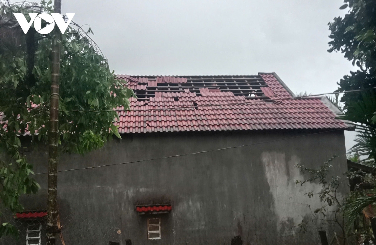 quang ngai loc xoay lam toc mai 116 nha dan o ba vi hinh anh 2