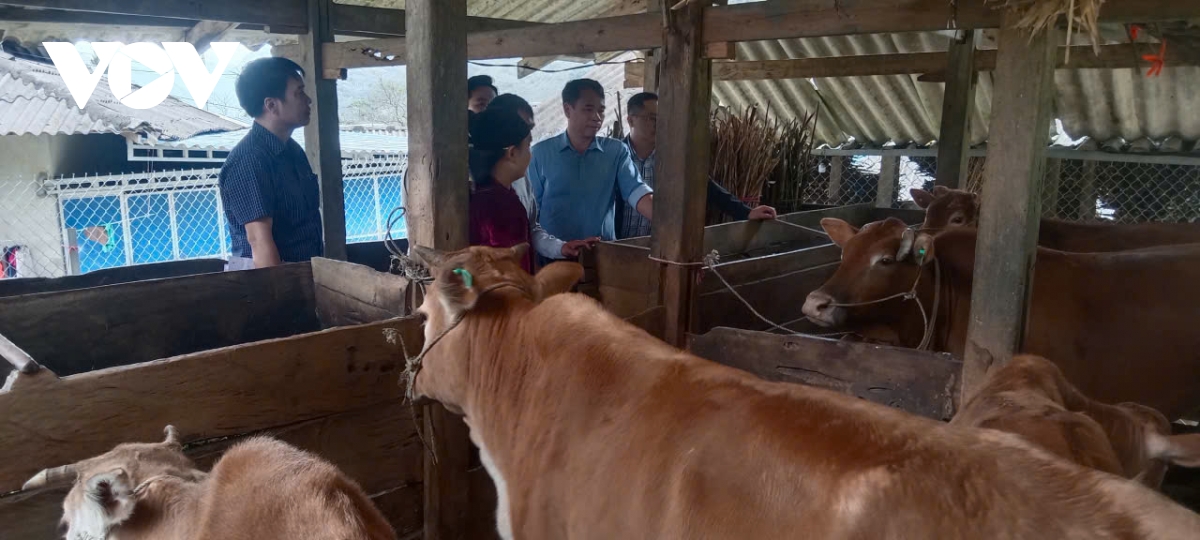 hoi thao khoa hoc chan nuoi va thu y toan quoc 2026 dien ra ngay 27 - 28 3 hinh anh 1