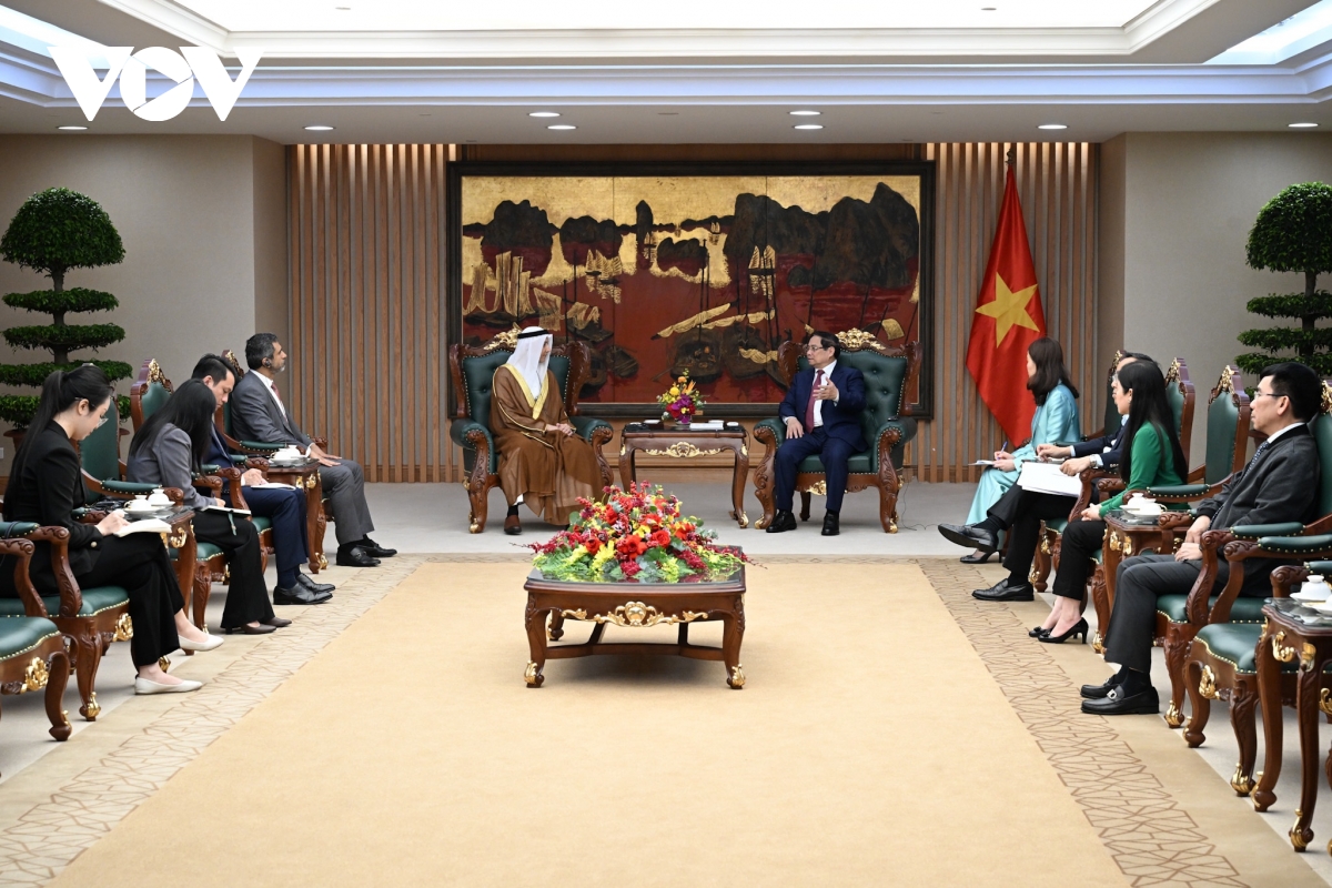 thu tuong pham minh chinh tiep Dai su cac tieu vuong quoc A rap thong nhat hinh anh 2