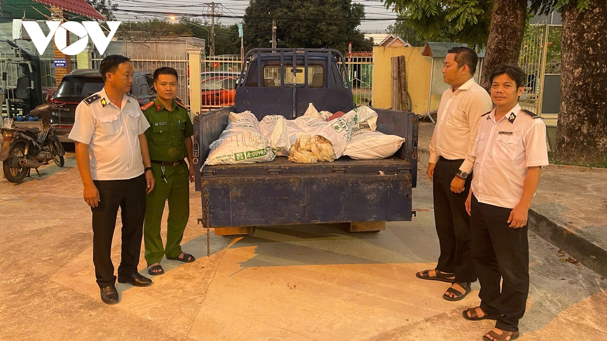 bat chap xu phat, tai xe o tp.hcm tiep tuc cho 450kg ga ban di tieu thu hinh anh 1