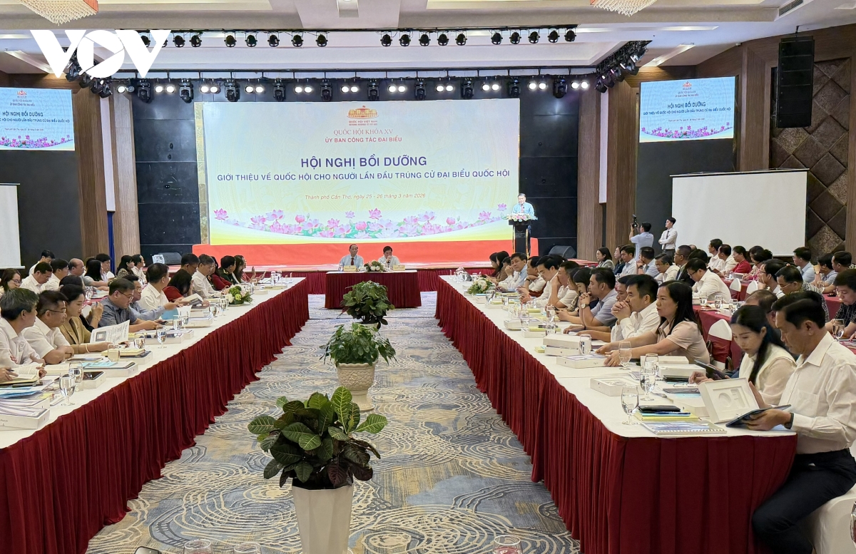 gioi thieu ve quoc hoi cho nguoi lan dau trung cu dai bieu quoc hoi hinh anh 1