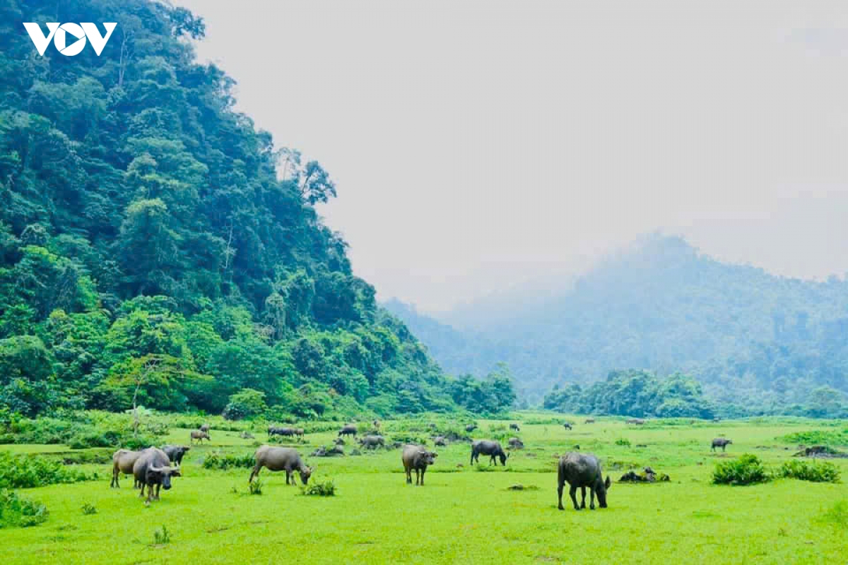 ban sac van hoa, diem nhan de thanh nien lam thuong phat trien du lich hinh anh 10