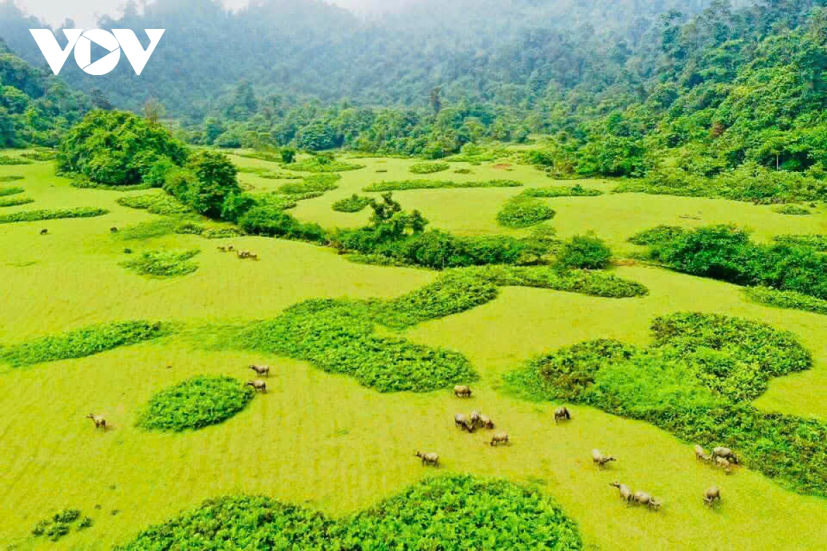 Bản sắc văn hóa, điểm nhấn để thanh niên Lâm Thượng phát triển du lịch