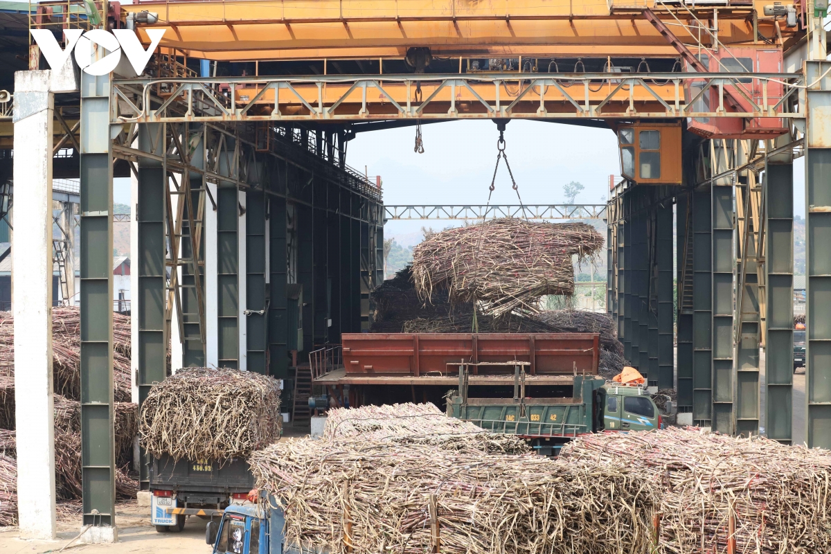 cong nhan son la giu nhip san xuat trong ky nghi le hinh anh 1