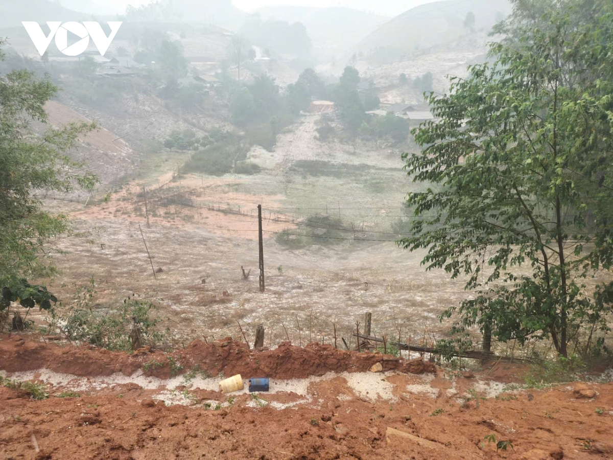 mua da roi trang xoa tai xa phieng cam, son la hinh anh 2