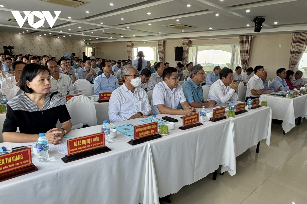 ca mau to chuc hoi thao ket noi san xuat, tieu thu nganh hang lua gao hinh anh 1