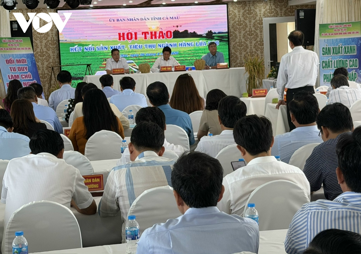 ca mau to chuc hoi thao ket noi san xuat, tieu thu nganh hang lua gao hinh anh 3