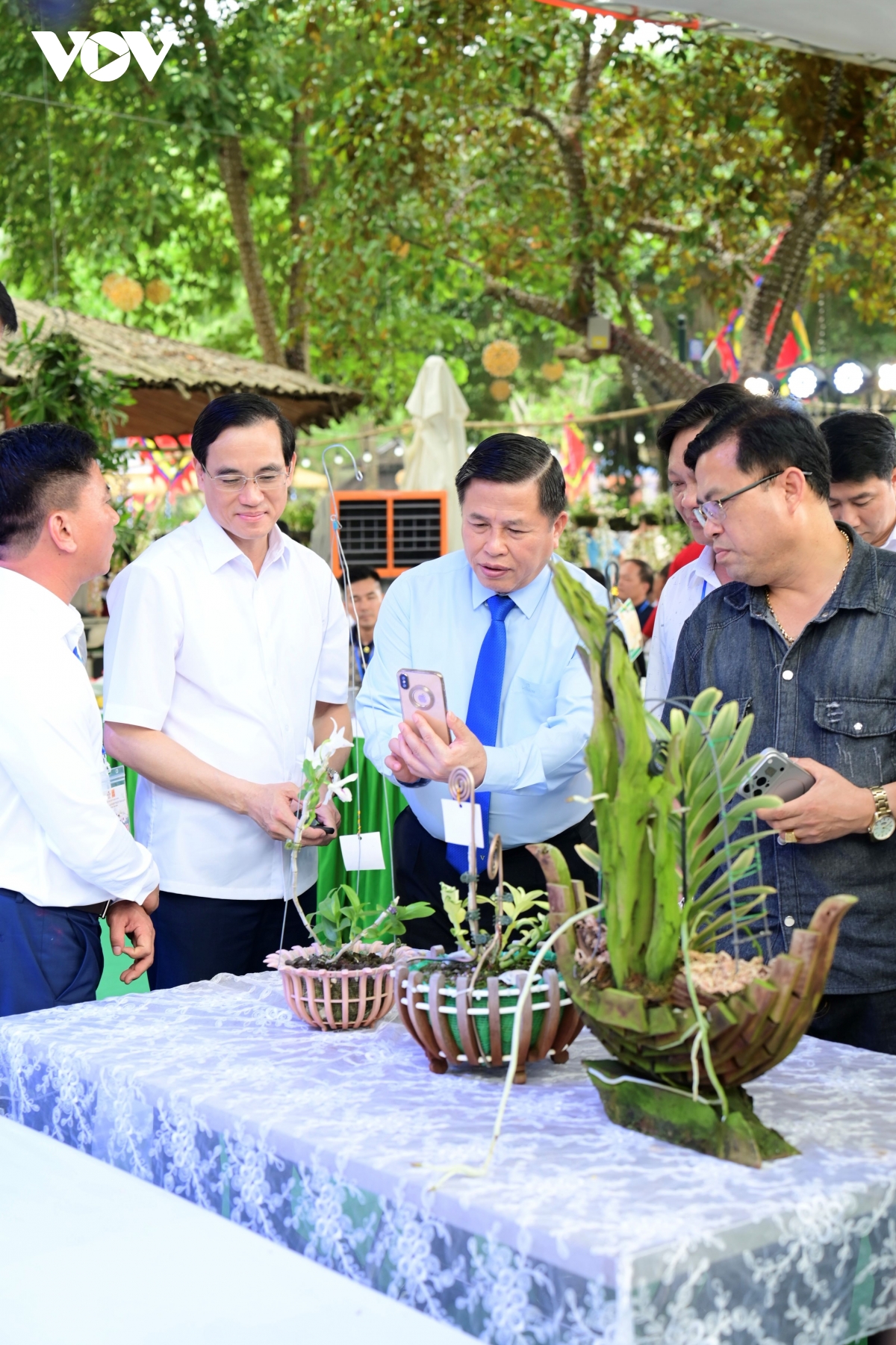 khai mac trien lam hoa lan nghe thuat toan quoc lan thu iii tai Den hung hinh anh 4