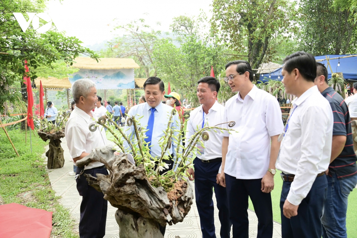 khai mac trien lam hoa lan nghe thuat toan quoc lan thu iii tai Den hung hinh anh 2