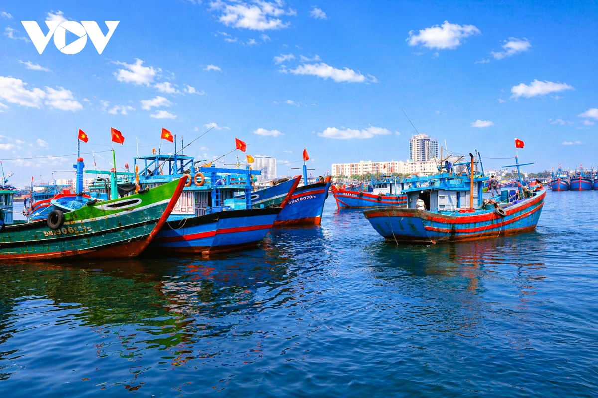 Da nang dung hang rao so chong khai thac iuu hinh anh 2