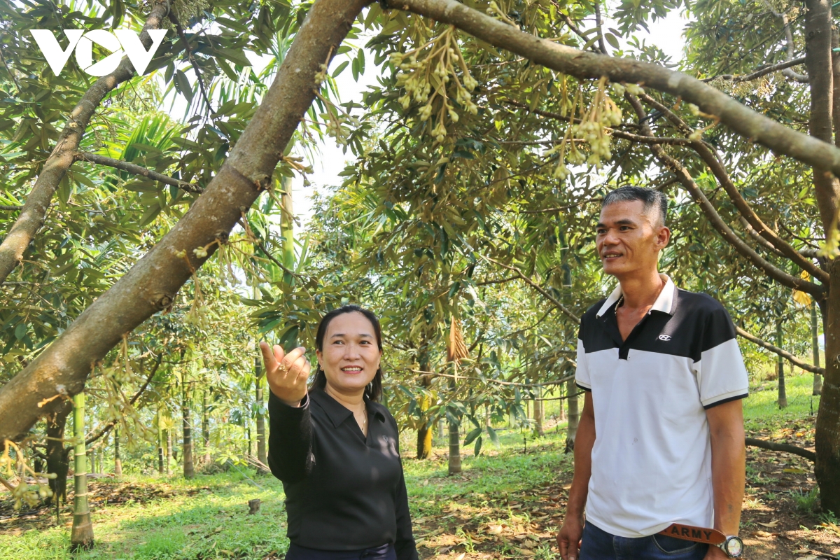 ket nghia dong bang - mien nui cach Da nang keo cac vung lai gan nhau hinh anh 1