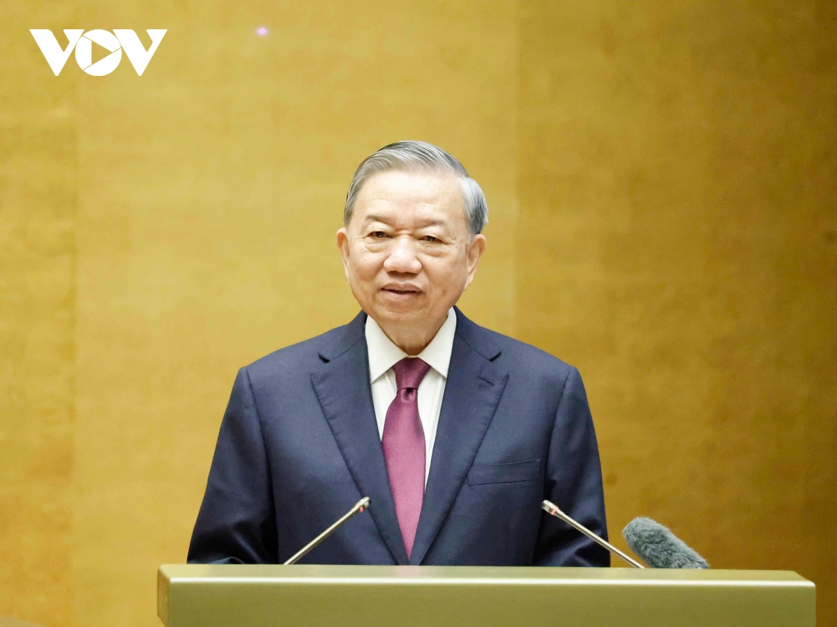 tong bi thu, chu tich nuoc kich hoat nang luc va khat vong phat trien trong dan hinh anh 2