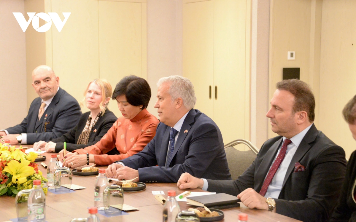 chu tich quoc hoi tran thanh man tiep lanh su danh du viet nam tai istanbul hinh anh 3