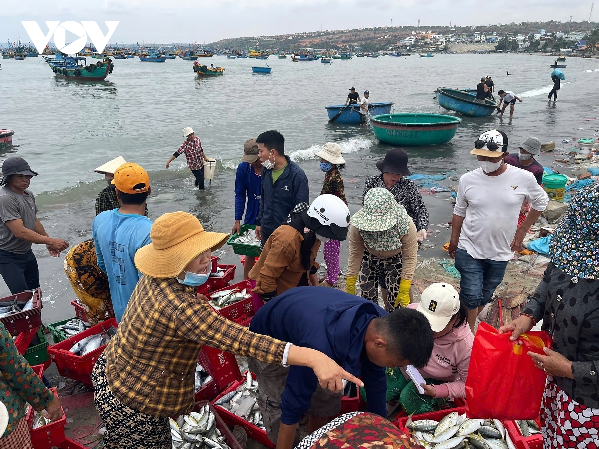 bien thuan, ngu dan lam Dong boi thu hinh anh 5