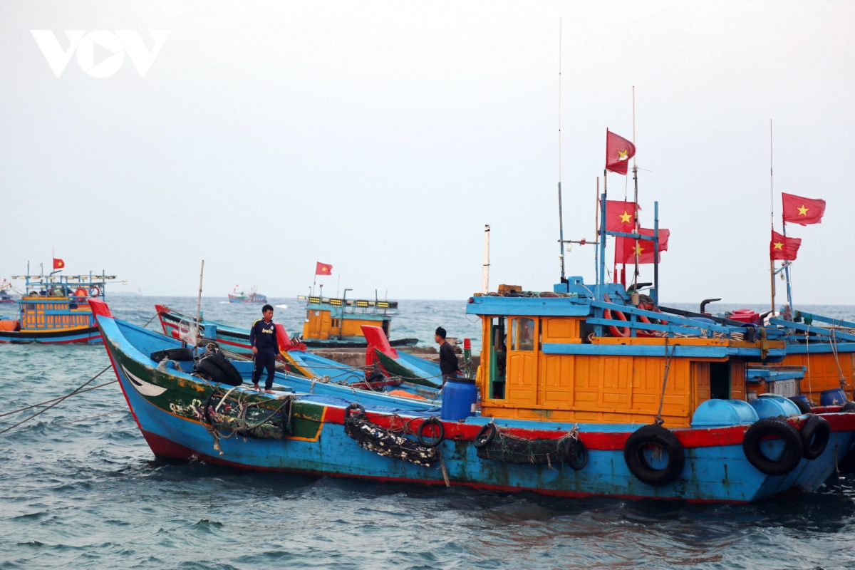 ky uc hoang sa va tieng goi cha ong hinh anh 5