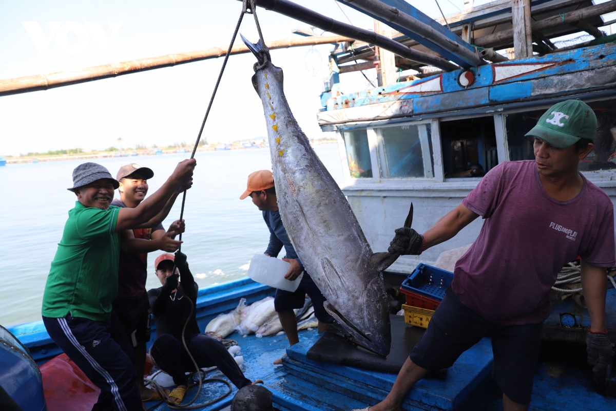 nganh thuy san Dak lak no luc nang cao gia tri hinh anh 2