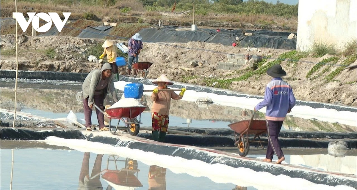 nguoi lam muoi o tan thanh vui vi trung mua, gia ban on dinh hinh anh 2