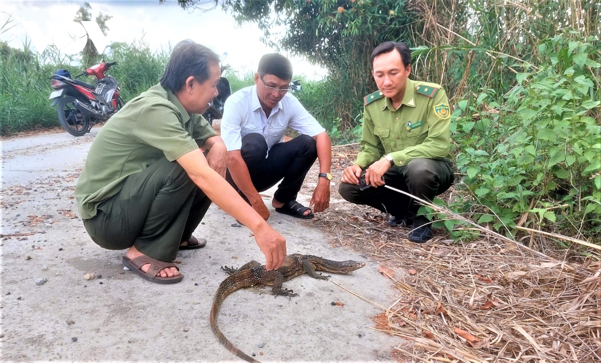 tha ky da hoa va vich bien 60kg ve tu nhien hinh anh 1