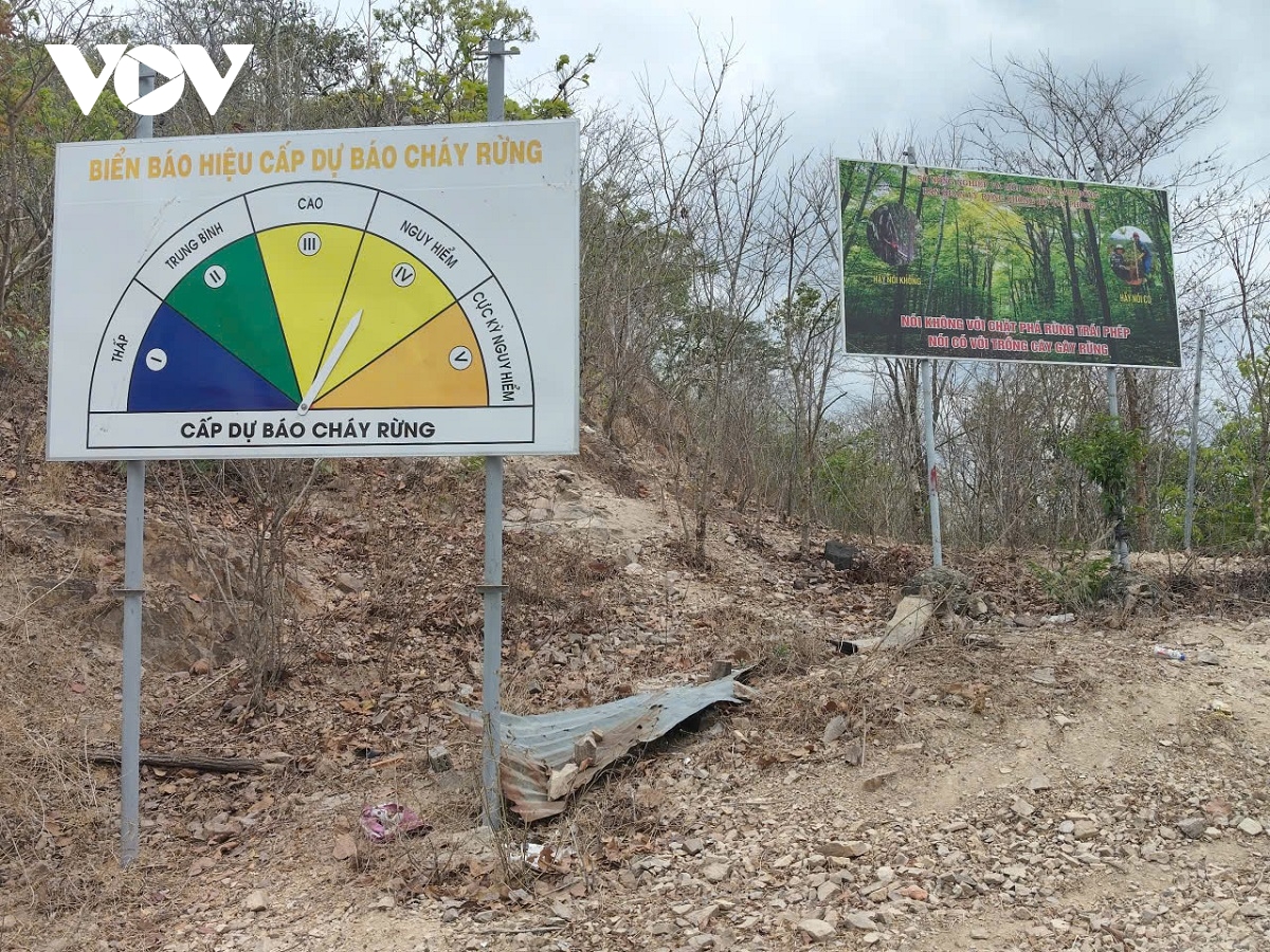 chu dong giu rung o lam Dong trong cao diem mua kho hinh anh 1