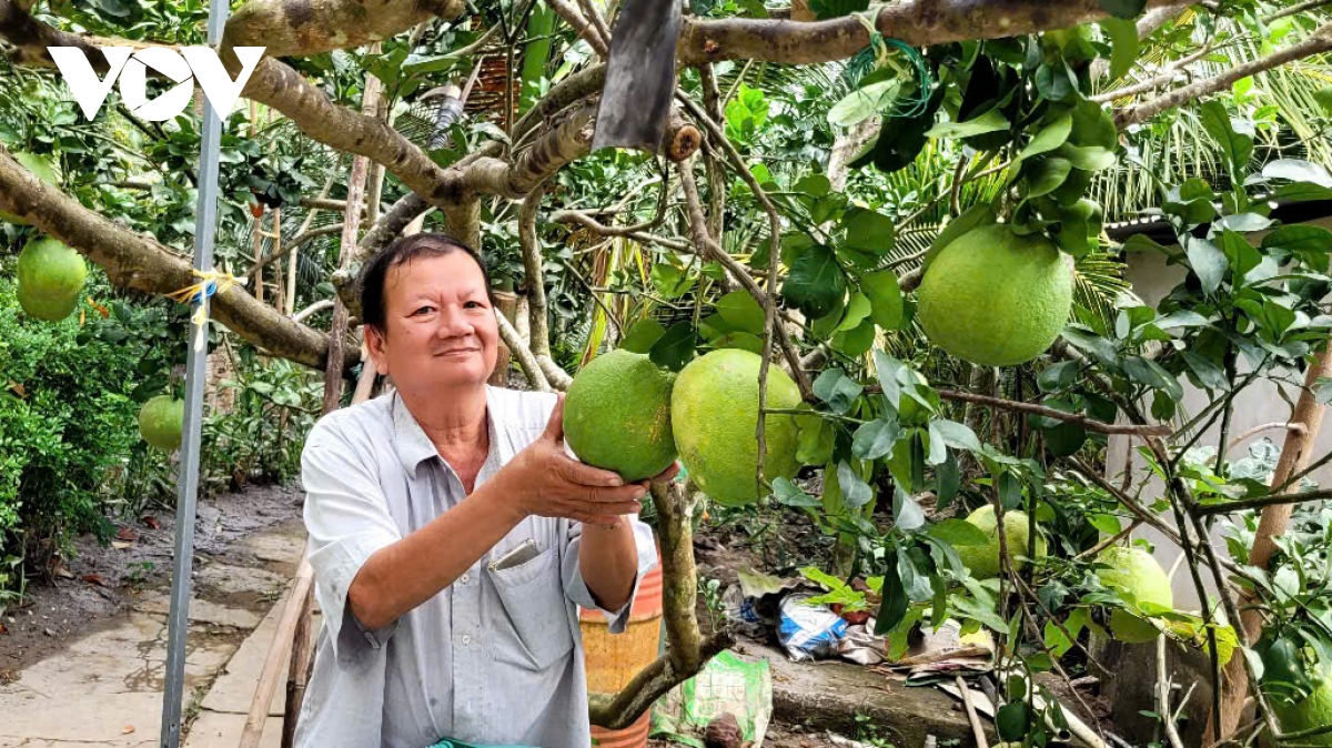 fruit exports to china set to surge as pomelo and lemon gain market access picture 1