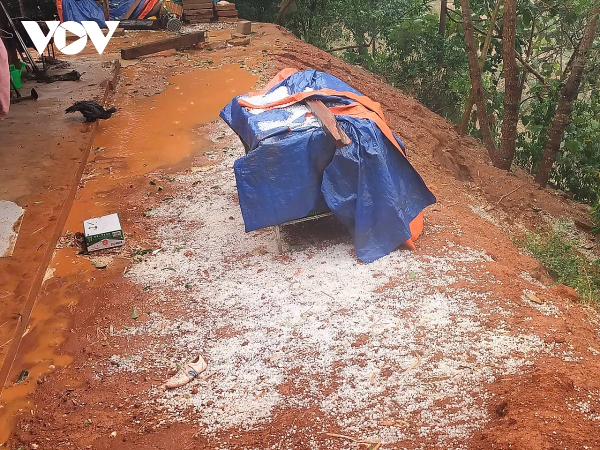 mua da roi trang xoa tai xa phieng cam, son la hinh anh 1