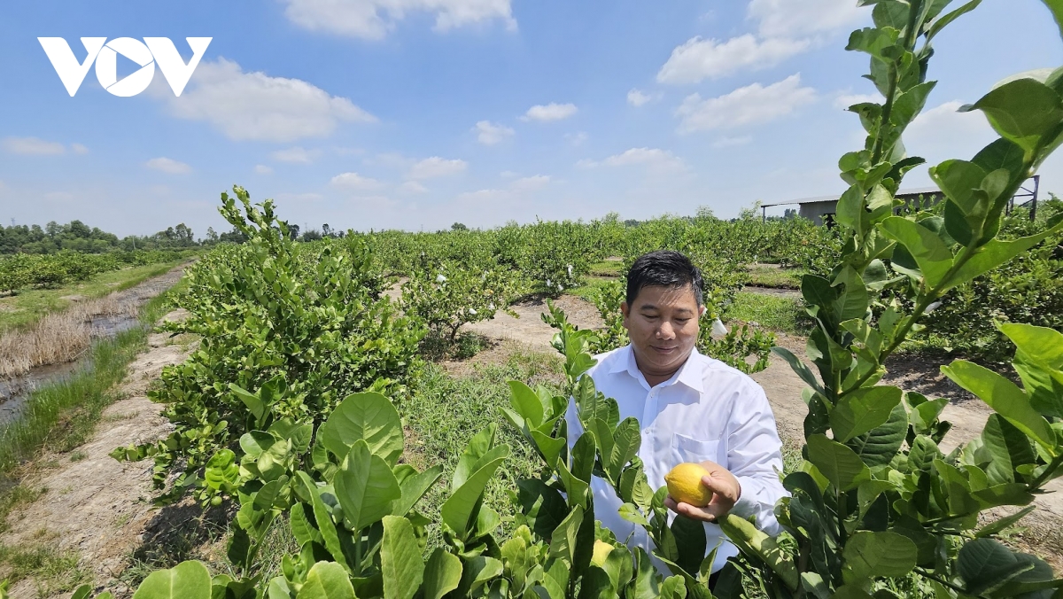 gop y du thao Dai hoi ix hoi nong dan can dot pha lien ket, tin dung va nong dan hinh anh 2