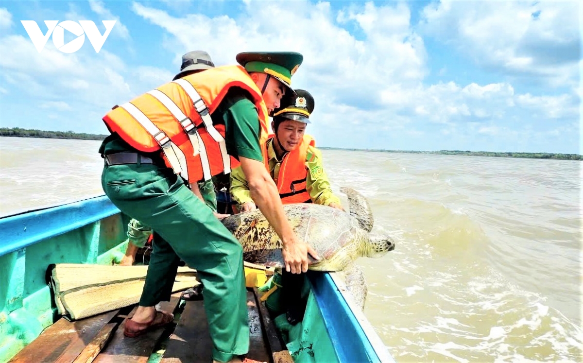 tha ky da hoa va vich bien 60kg ve tu nhien hinh anh 2