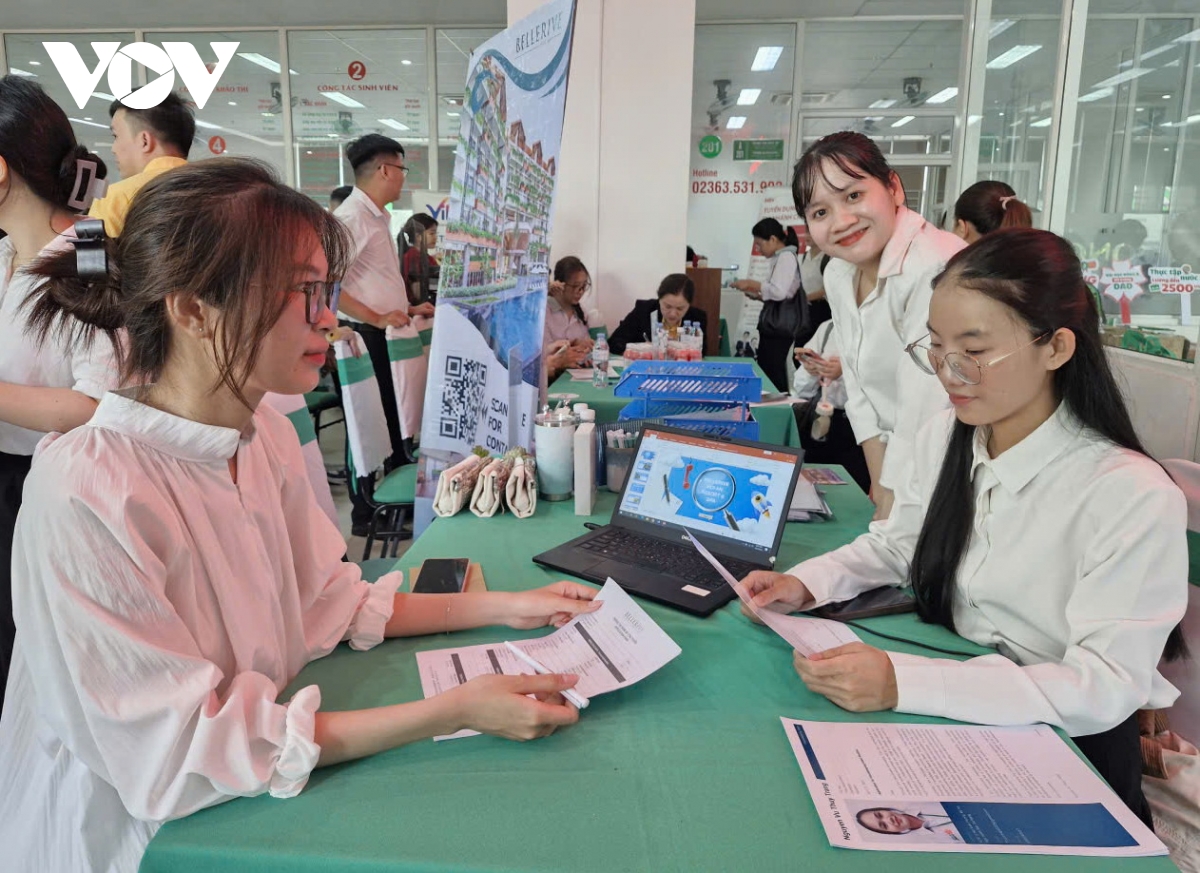 Da nang ket noi hon 41.000 vi tri viec lam den nguoi lao dong hinh anh 3