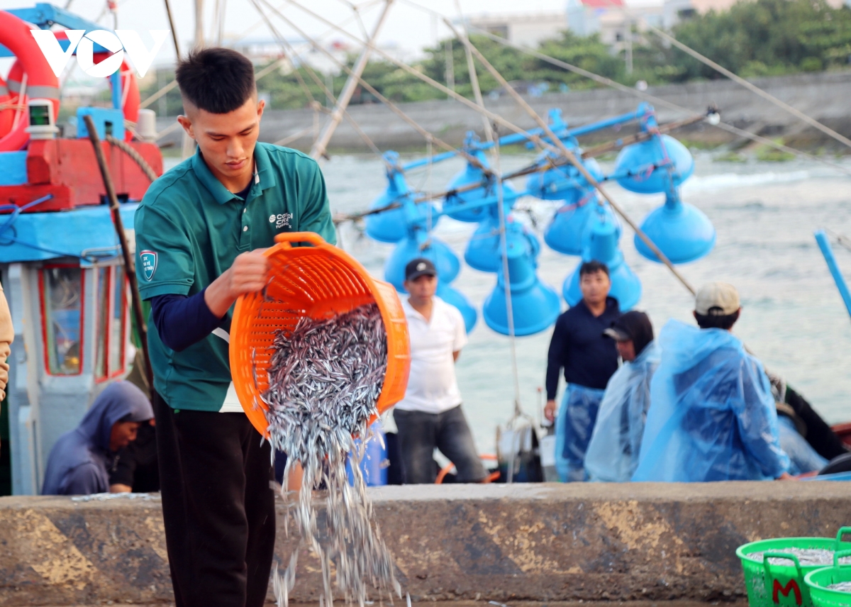 ky uc hoang sa va tieng goi cha ong hinh anh 7