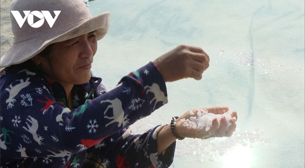 nguoi lam muoi o tan thanh vui vi trung mua, gia ban on dinh hinh anh 1