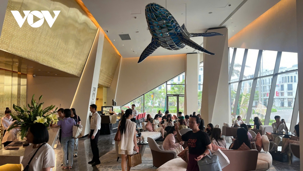 sam son san sang but toc mua du lich 2026 voi khat vong ruc ro hinh anh 3